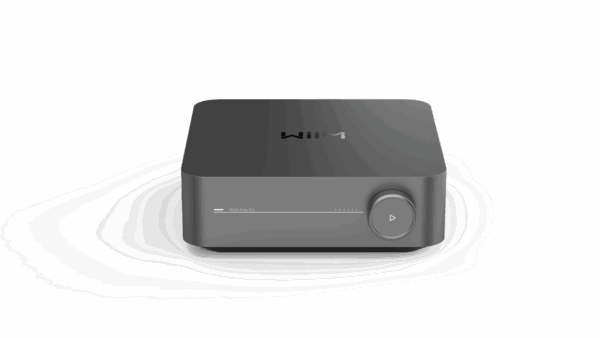 WiiM Amp Pro Dark Grey - WiiM