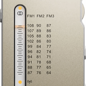 FiiO RR11 Bærbar FM-Radio og USB-DAC Titan - FiiO